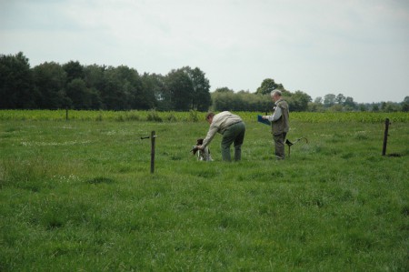 jachttraining: Apport van eend