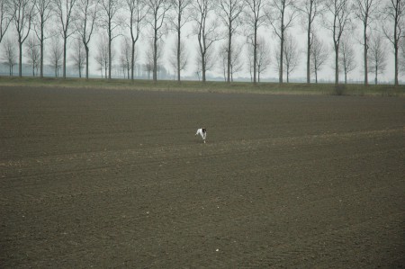 Kayla in grote haast terug naar het vrouwtje